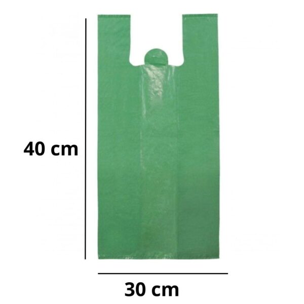 SACOLA VERDE 30X40