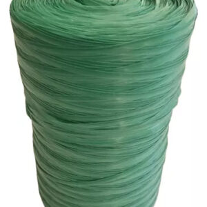FITILHO F10 VERDE CLARO/MACIO