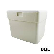 CAIXA TERMICA 8LTS