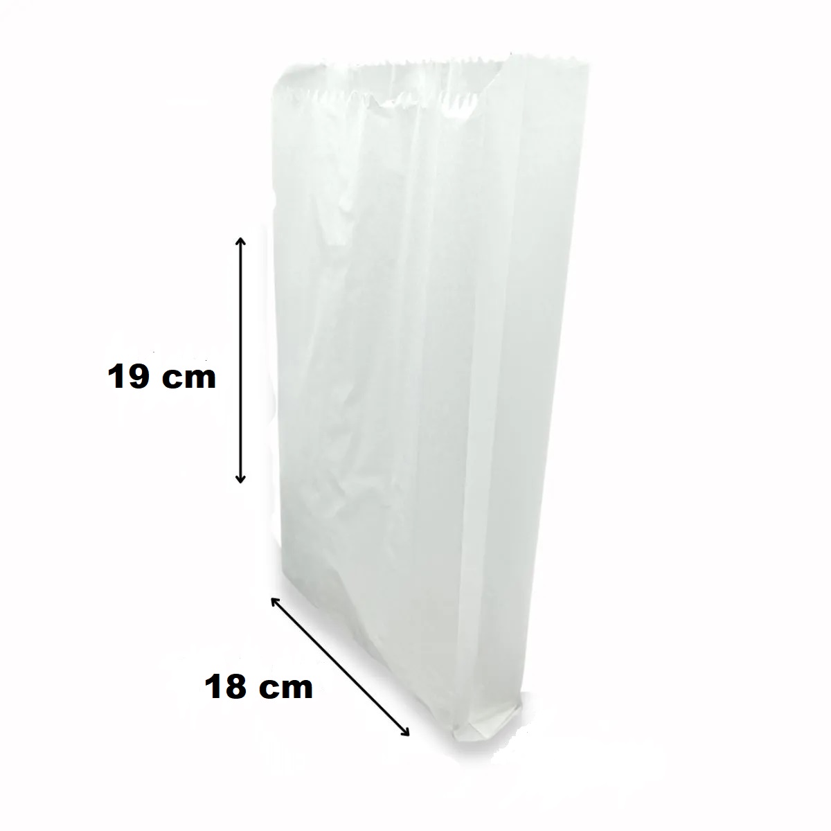 SACO PARA VIAGEM 1 C/500