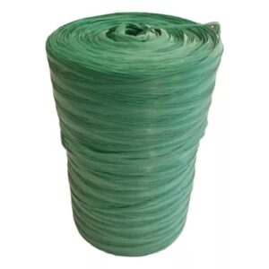 FITILHO F10 VERDE CLARO/MACIO