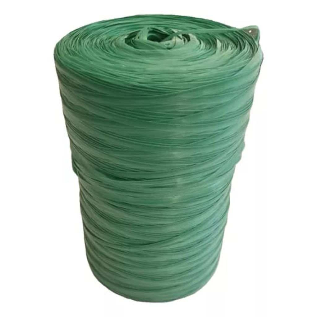 FITILHO F10 VERDE CLARO/MACIO