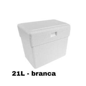 CAIXA TERMICA 21LTS