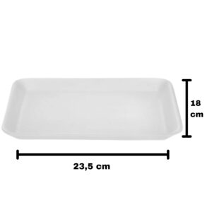 BANDEJA DE ISOPOR RASA BR3
