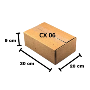 CAIXA PAPELÃO 06 E-COMMERCE C30XL20XA09